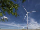 Die Trianel Erneuerbare Energien betreibt aktuell über 70 Windenergieanlagen in 17 Windparks. Hier der Windpark in Wennersforf. Foto: Stadtwerke