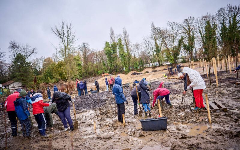 Viele Bürgerinnen und Bürger pflanzten an einem Wochenende Setzlinge auf den ehemaligen Betriebshof am Stadtgarten. Foto: DYenmez