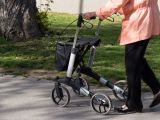 Das Praxistraining hat sich für Rollator-Nutzer und -Nutzerinnen seit zehn Jahren bewährt. Foto: Adobestock/Rudolf Geiger
