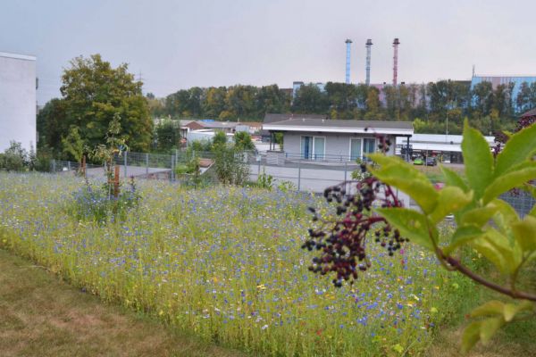 Soziale Stadt: Verfügungsfonds Wattenscheid bringt die Stadterneuerung voran