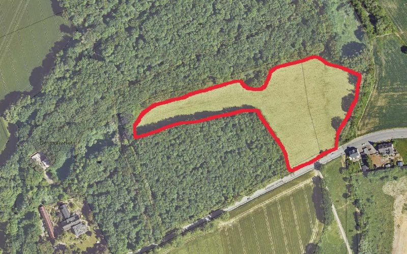 Berghofer Holz: Hundewiese soll kommen