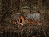 Spaziergänger sind von den neuen Zufluchtsorten für Enten begeistert. Fotos: Katharina Stipp