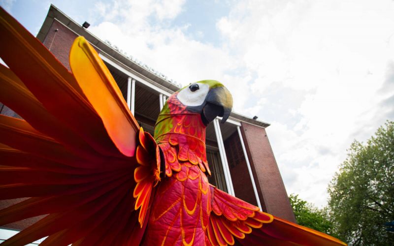 Das Fidena-Festival wird von der Stadt Bochum unterstützt. Mit dabei sind unter anderem farbenfrohe Straußenvögel der niederländischen Gruppe Teatro Pavana. Foto: Simon Baucks