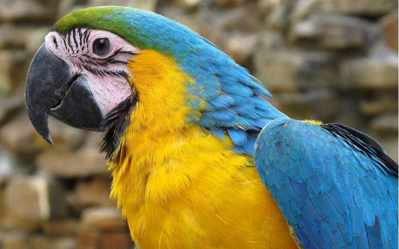 Tierpark Bochum: Freier Eintritt für geflüchtete Menschen aus der Ukraine