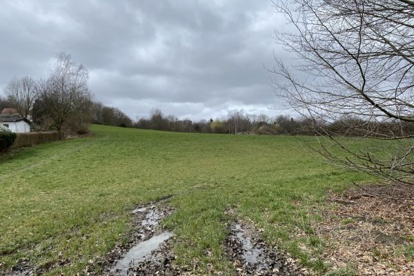 Langendreer bekommt einen neuen Wald aus 40.000 kleinen Bäumen