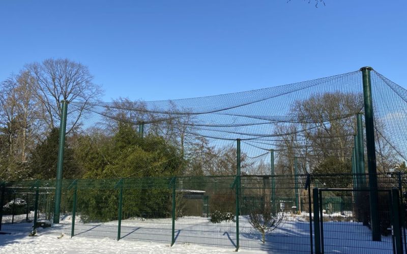 Vogelpark Stadtgarten
