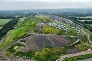 In der direkten Nachbarschaft der Baustelle der Deponie Kornharpen befindet sich eine der größten Bochumer Kreuzkröten-Populationen. Foto: USB