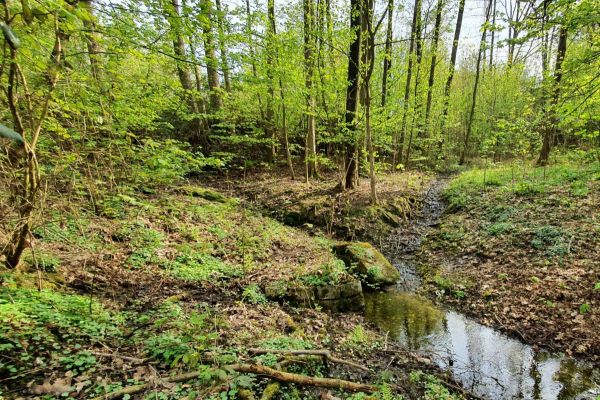 IG Grumme: Initiative will Naherholungsgebiet ökologisch aufwerten und schützen