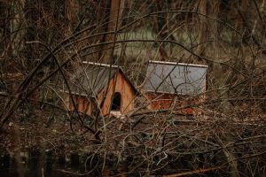 Spaziergänger sind von den neuen Zufluchtsorten für Enten begeistert. Fotos: Katharina Stipp