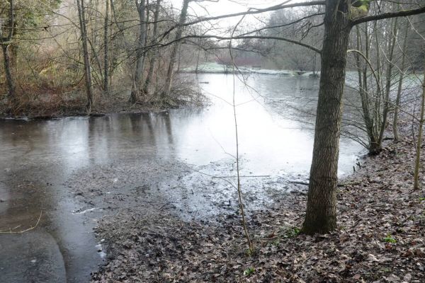 800.000 Euro für den Bockholtteich