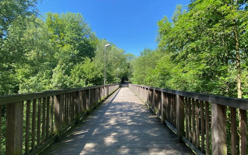 Volkspark Hiltrop: Umgestaltung beginnt 2022