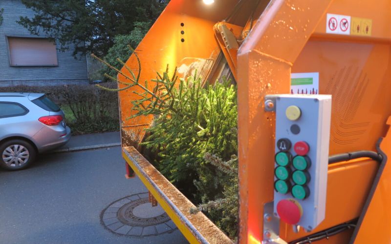 USB sammelt wieder Weihnachtsbäume ein