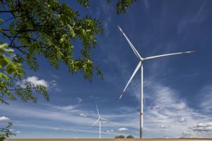 Die Trianel Erneuerbare Energien betreibt aktuell über 70 Windenergieanlagen in 17 Windparks. Hier der Windpark in Wennersforf. Foto: Stadtwerke