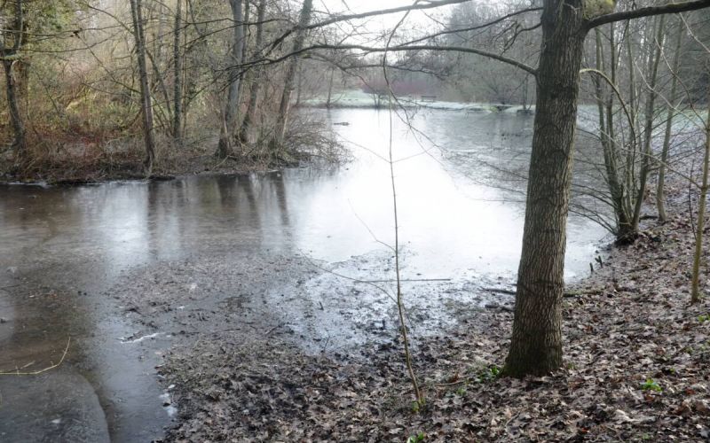 800.000 Euro für den Bockholtteich
