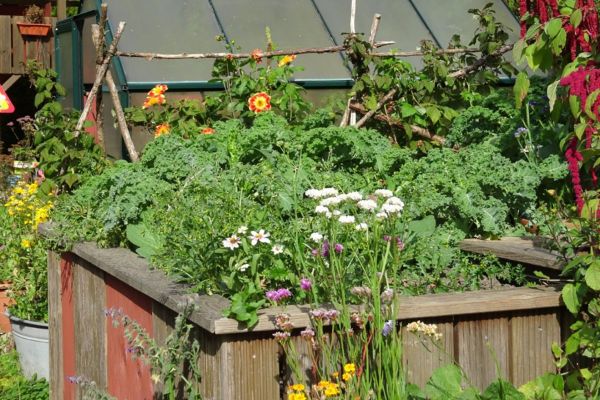 Schrebergartenkult: „Friedlicher Nachbar“ in Gerthe