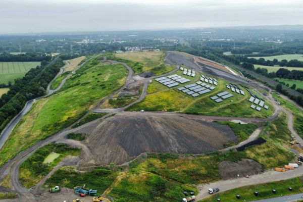 In der direkten Nachbarschaft der Baustelle der Deponie Kornharpen befindet sich eine der größten Bochumer Kreuzkröten-Populationen. Foto: USB