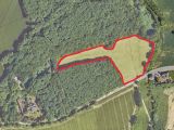 Berghofer Holz: Hundewiese soll kommen