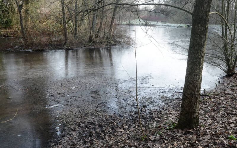 Der Bockholtteich braucht dringend eine ökologische Verbesserung – die aber kommt erst im nächsten Winter