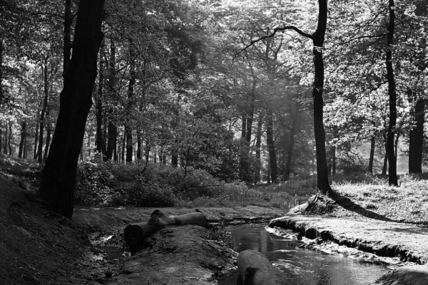 Histobo: Fast wäre die Berger Mühle ein Revierpark geworden