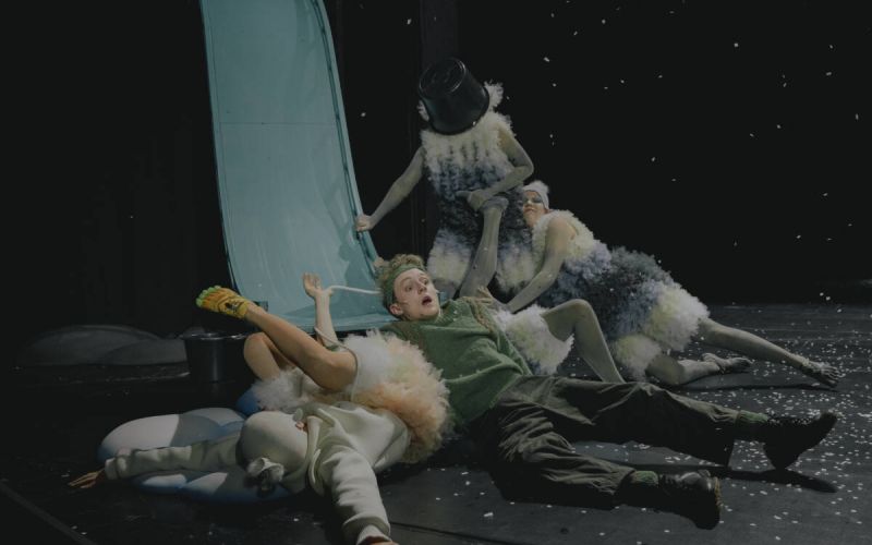 Jakob Schmidt (hier in der Rolle des Nils Holgersson") ist zurück ans Bochumer Schauspielhaus gekehrt. Foto: Fabian Ritter