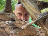 Holz ist das Material, mit dem sich Torsten Kornberg künstlerisch ausdrückt.