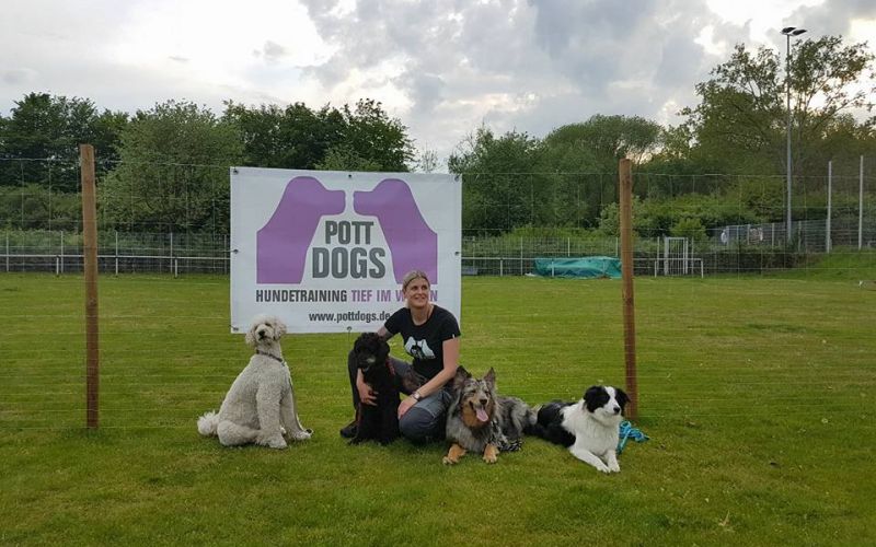 Hundeschulen Pottdogs