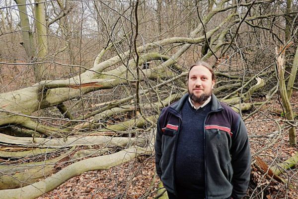 Tippelsberg/Berger Mühle ist Bochum größtes Naturschutzgebiet