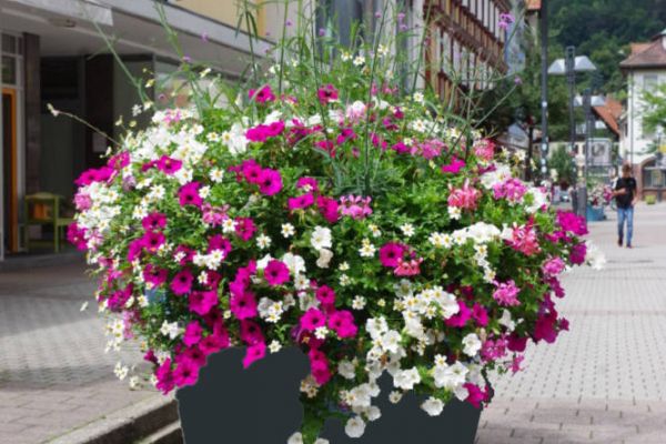 Gemeinsam für eine schöne Wattenscheider City