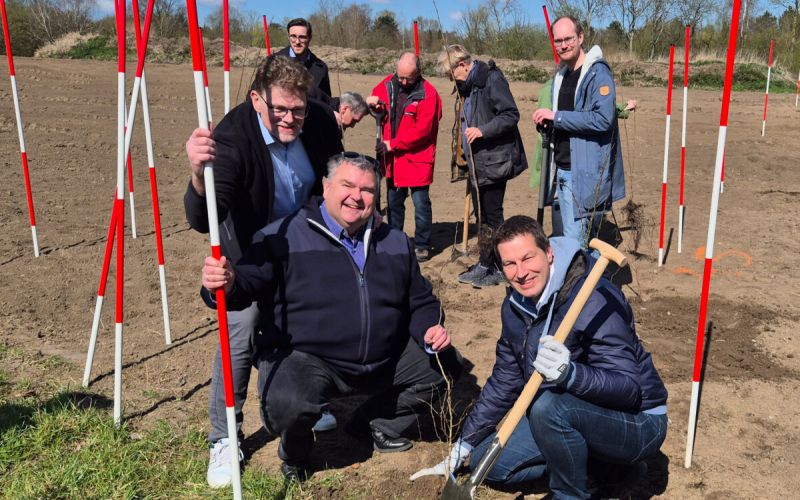 Neuer Wald für Langendreer