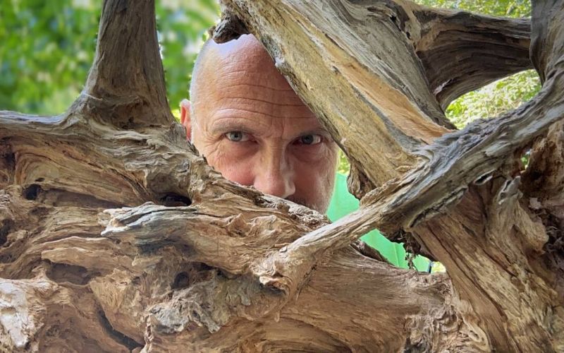 Holz ist das Material, mit dem sich Torsten Kornberg künstlerisch ausdrückt.