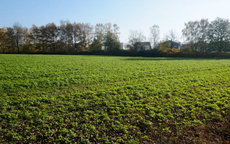 Diskussion um Neubaugebiet Hiltrop: „Warum sollen andere Leute nicht schön wohnen können?“