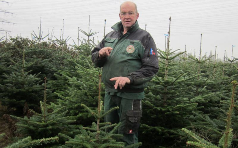 Die Landwirte Appelbaum, Westerhoff und Heinrichs verschönern das Fest