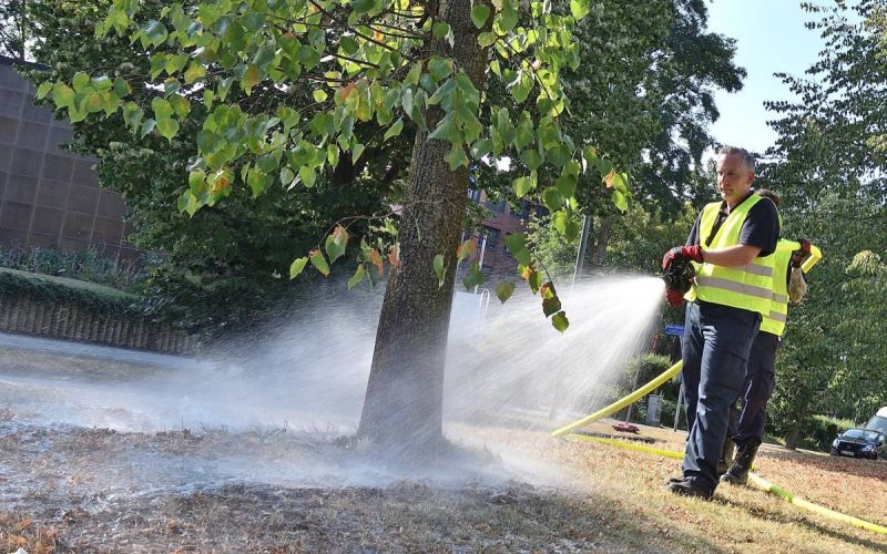 Gießpaten gesucht: Wasser für Bäume und Wasser in Teichen