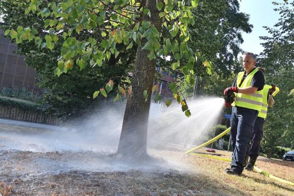 Gießpaten gesucht: Wasser für Bäume und Wasser in Teichen